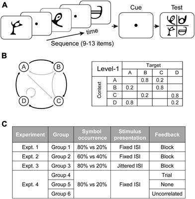 Flexible structure learning under uncertainty